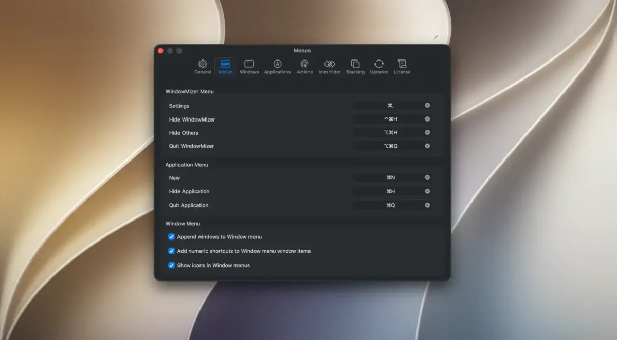 WindowMizer 2