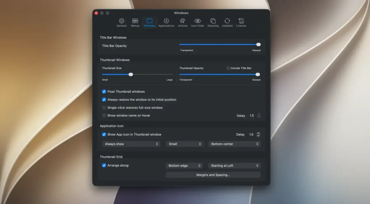 WindowMizer 1